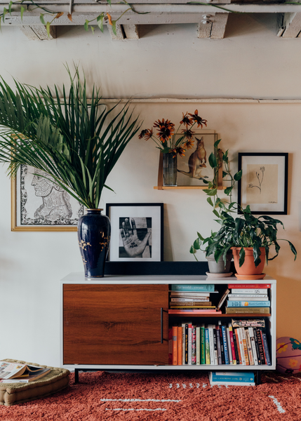 The Trick to Choosing the Perfect Indoor Plant for Every Room in Your Home