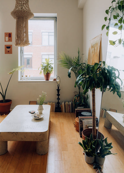 5 Easy Ways to Give Your Indoor Plants Some Extra Love This Winter