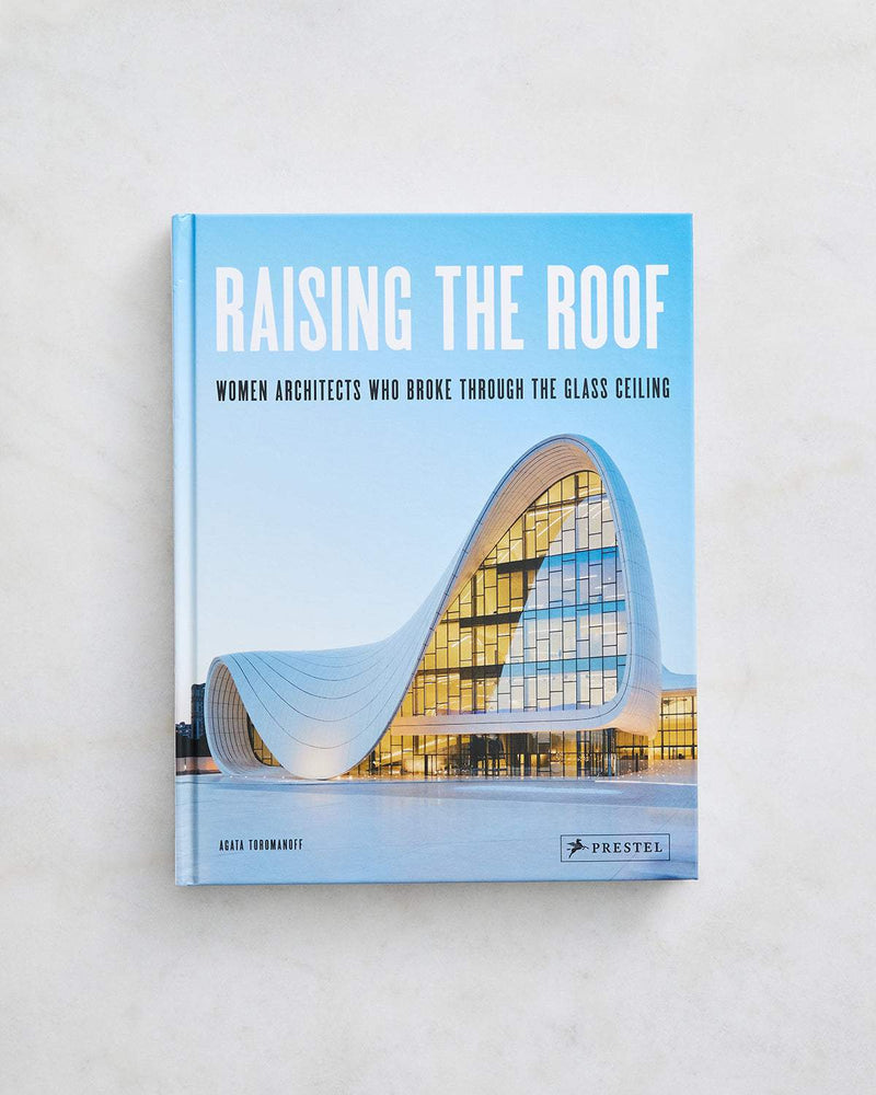 Raising the Roof by Agata Toromanoff