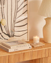 Architectural Digest at 100: A Century of Style by Amy Astley